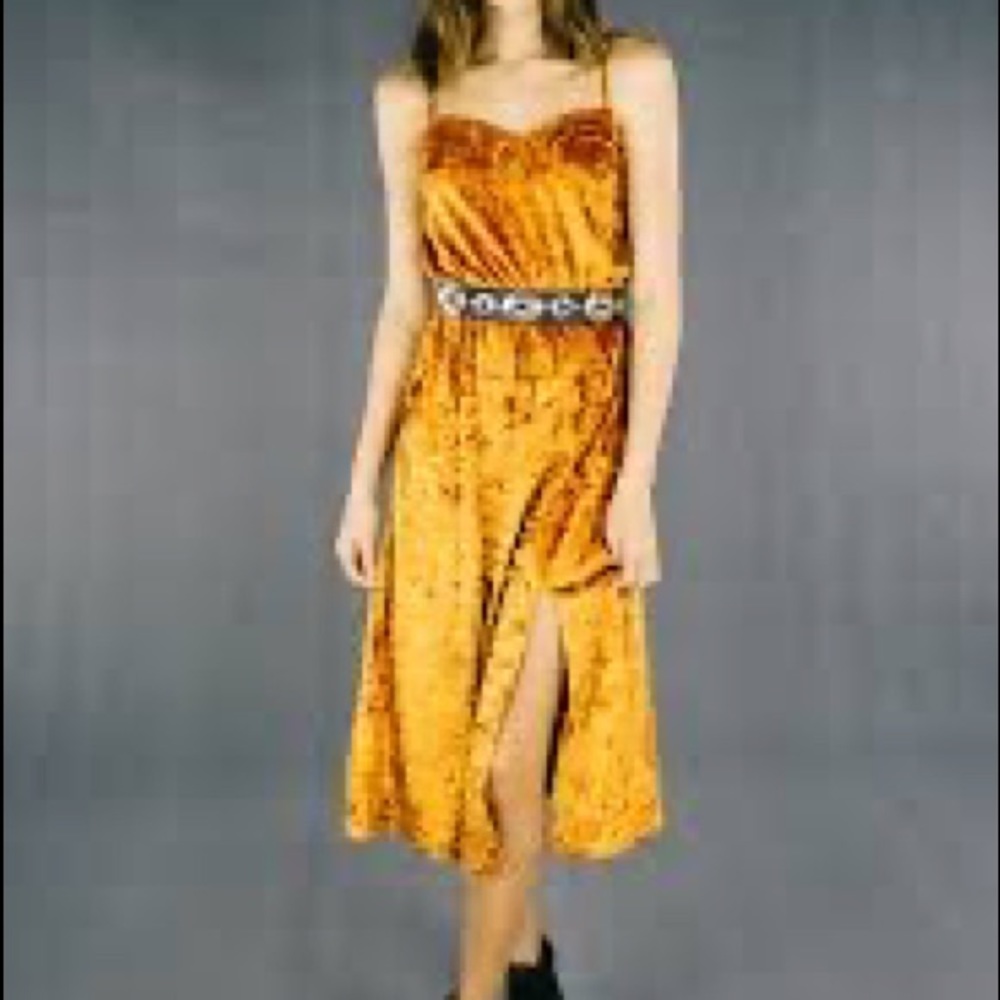 Lenni the label rust velvet dress (belt not included) worn once